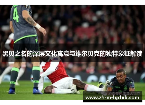 黑贝之名的深层文化寓意与维尔贝克的独特象征解读